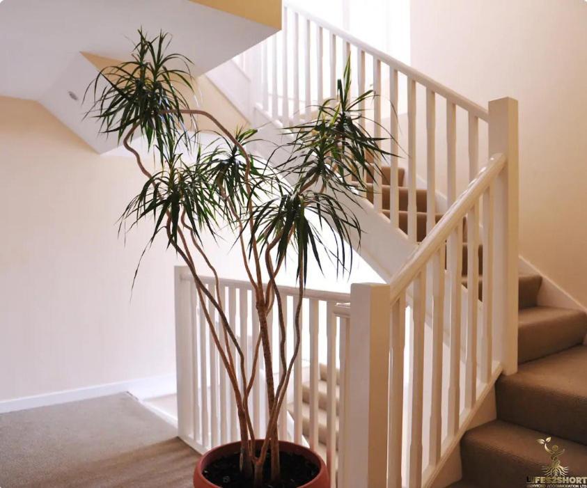 Smythen St, 2 Bed Apartment With Balcony Exeter Luaran gambar